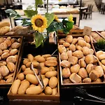 酒店 帕拉斯皮内达酒店 4*